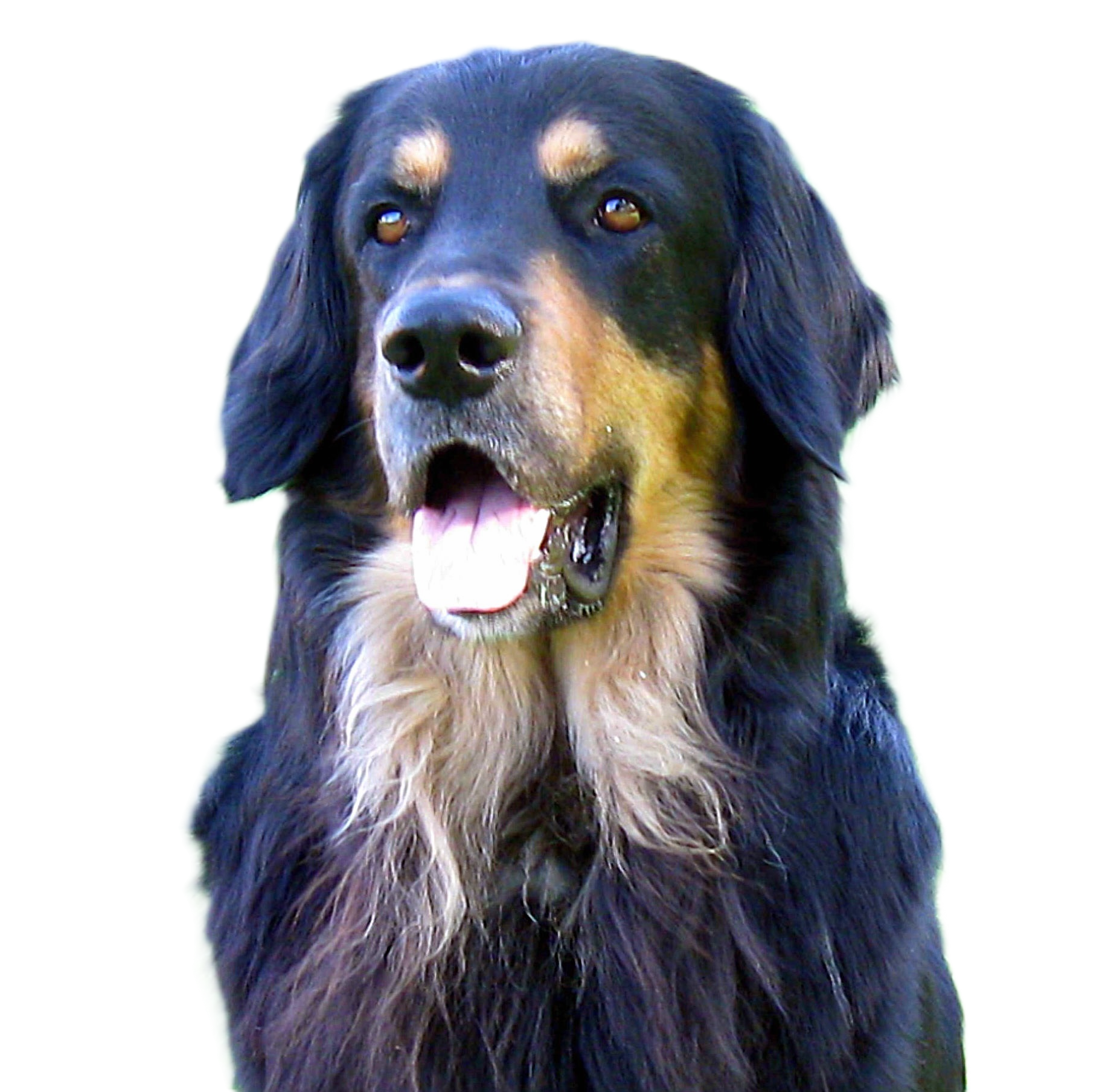 Unternehmen - Jando`s Schlemmer-Gebäck